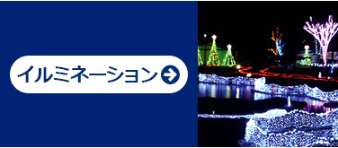 4Pイルミネーション