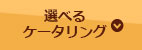 選べるケータリング