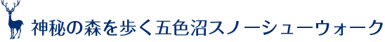 神秘の森を歩く五色沼スノーシューウォーク