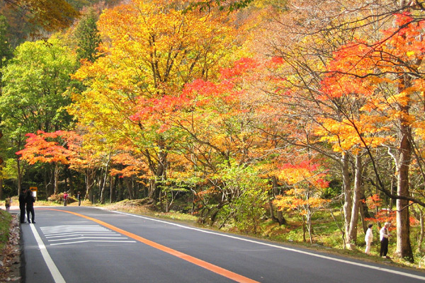 飛騨美濃せせらぎ街道