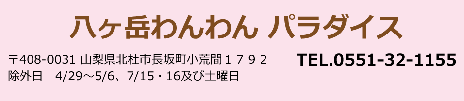 八ヶ岳　わんわんパラダイス