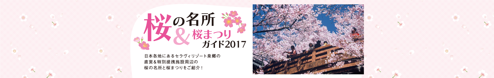 桜情報