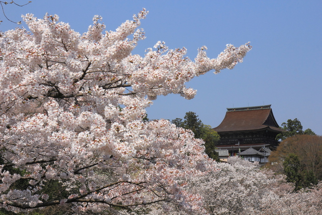 大和三大名園 群芳園（敷地内）