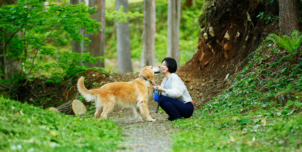 愛犬との癒しのひととき