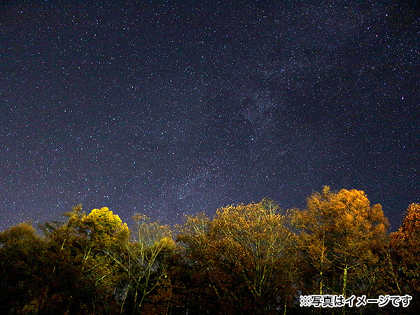 夜は満天の星