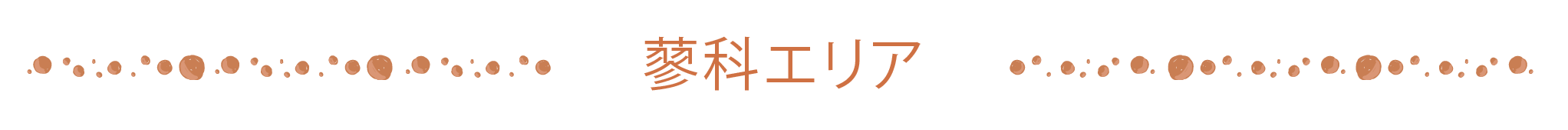 蓼科エリア