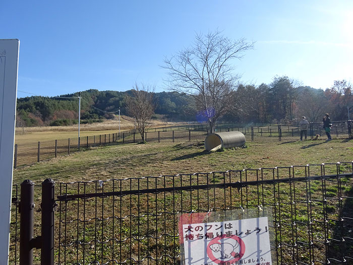 原山市民公園　ペットと遊ぶ広場