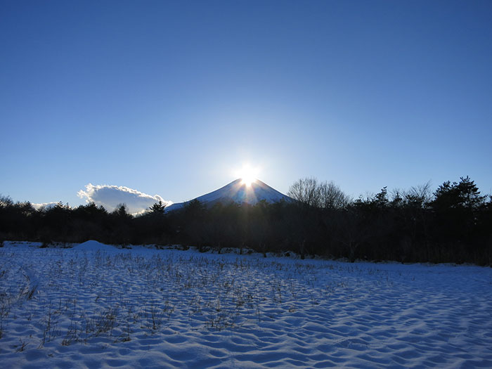 山中湖 花の都公園