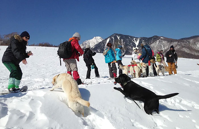 愛犬と楽しむ清里高原スノーハイキング