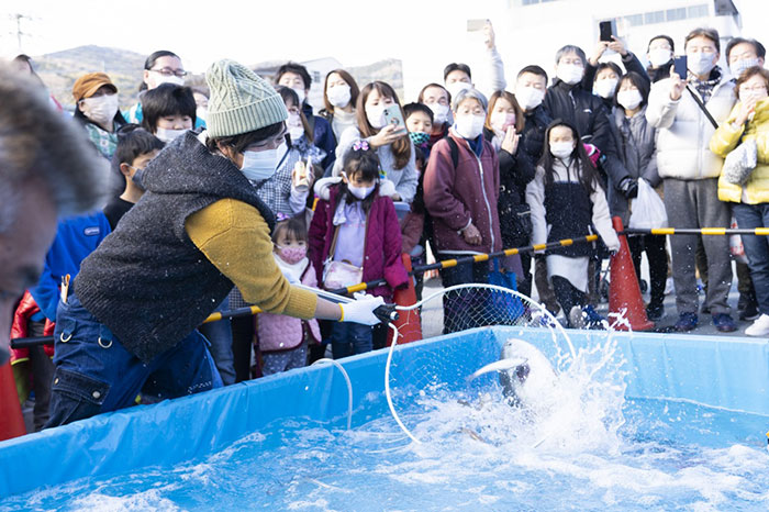 伊東温泉めちゃくちゃ市