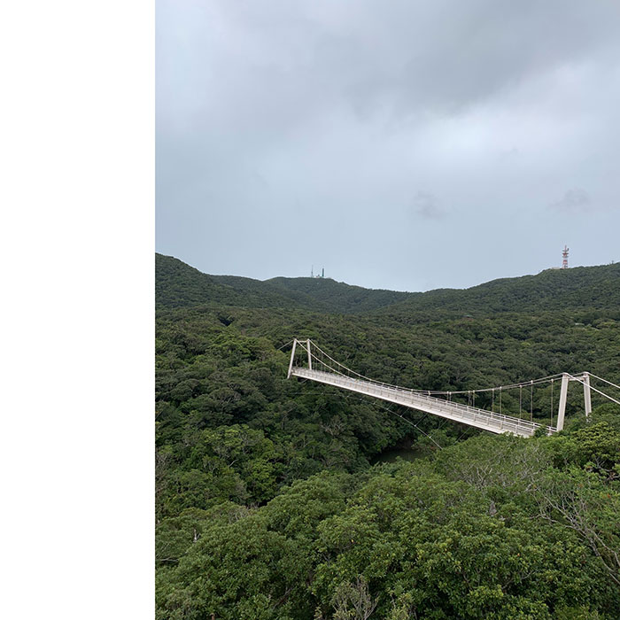 バンナ公園　セイシカの橋