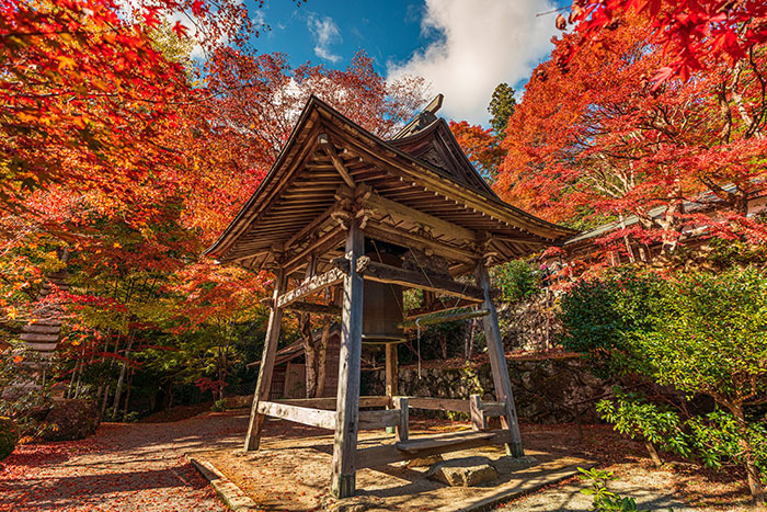 からすき谷公園