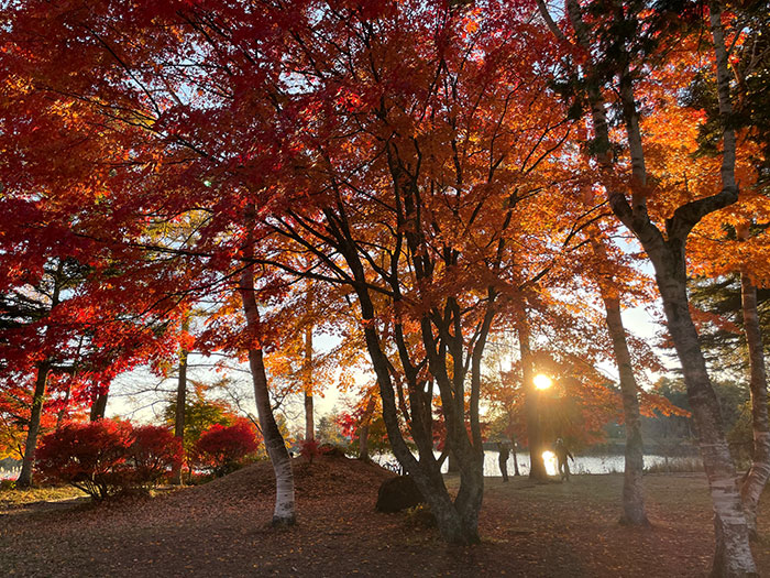 からすき谷公園