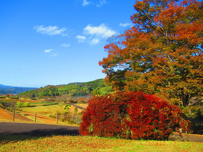 松川湖