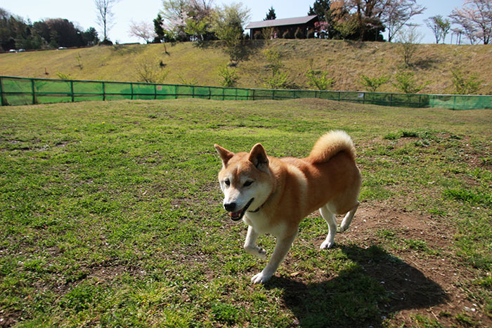 松川湖