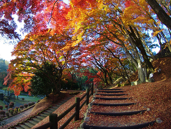 佐久山御殿山紅葉まつり