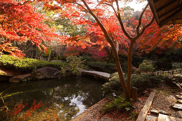 浜松城公園