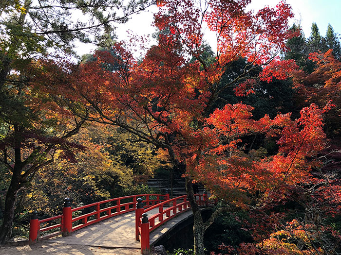 紅葉谷公園