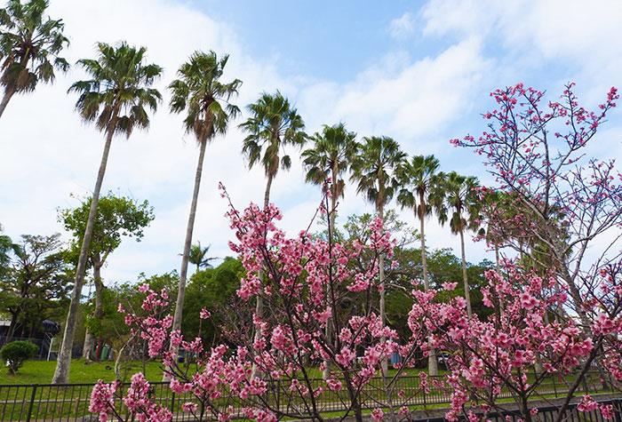 与儀公園