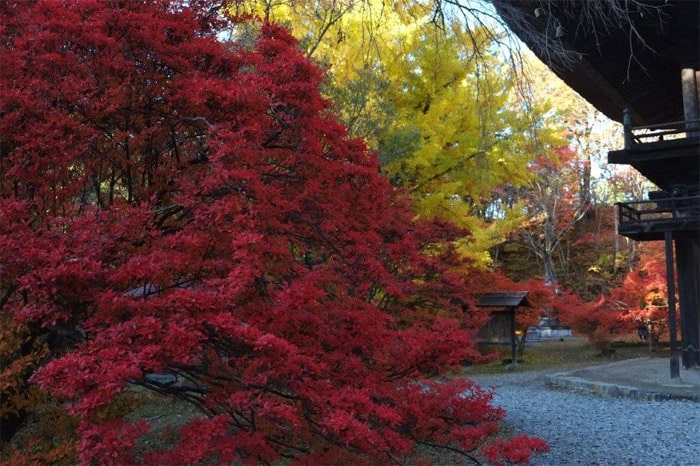 曹洞宗霊松寺