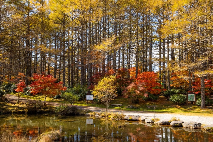 御泉水自然園