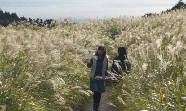 稲取細野高原