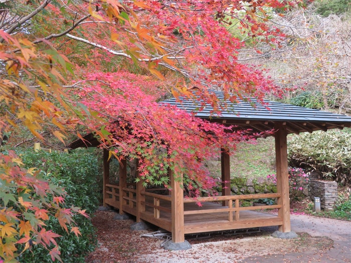 熱海梅園
