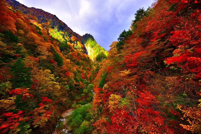 高瀬渓谷