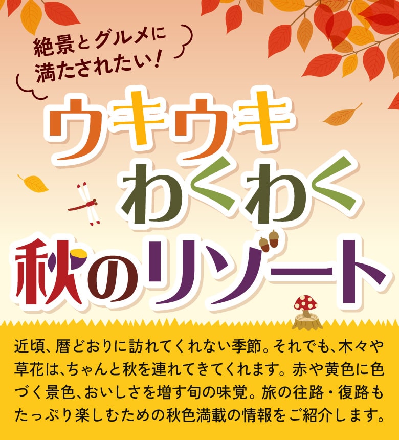近頃、暦どおりに訪れてくれない季節。それでも、木々や草花は、ちゃんと秋を連れてきてくれます。赤や黄色に色づく景色、おいしさを増す旬の味覚。旅の往路・復路もたっぷり楽しむための秋色満載の情報をご紹介します。