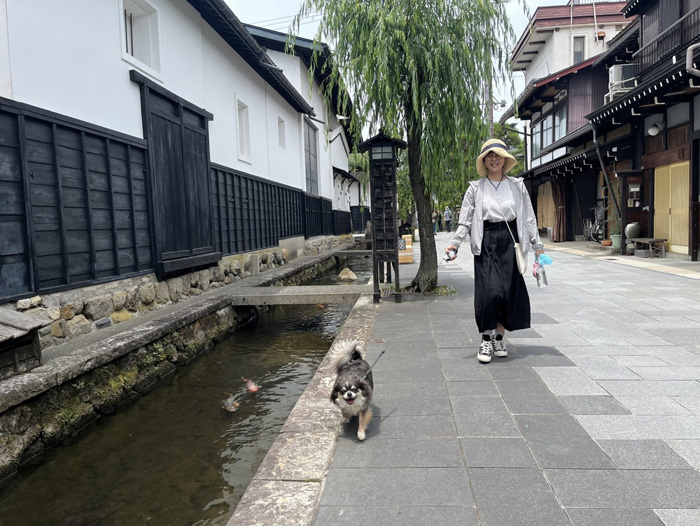 瀬戸川と白壁土蔵街
