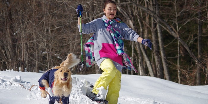 愛犬と雪遊び～スノードッグデビュー