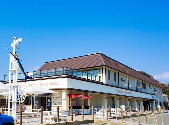 鮮魚市場　市場食堂