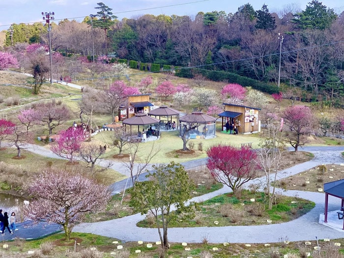 かざはやの里～かっぱのふるさと