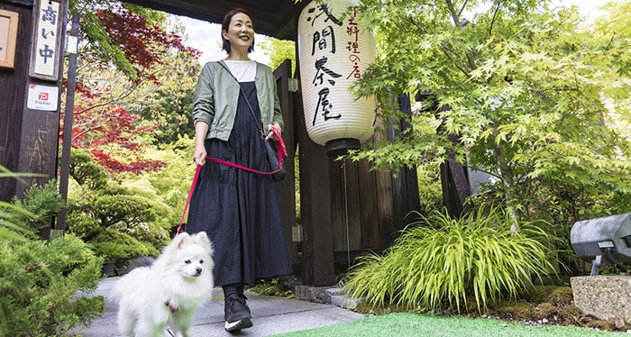 山梨ほうとう　浅間茶屋