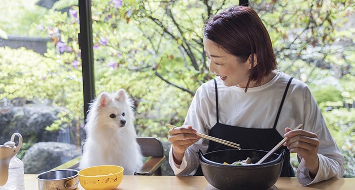 山梨ほうとう　浅間茶屋