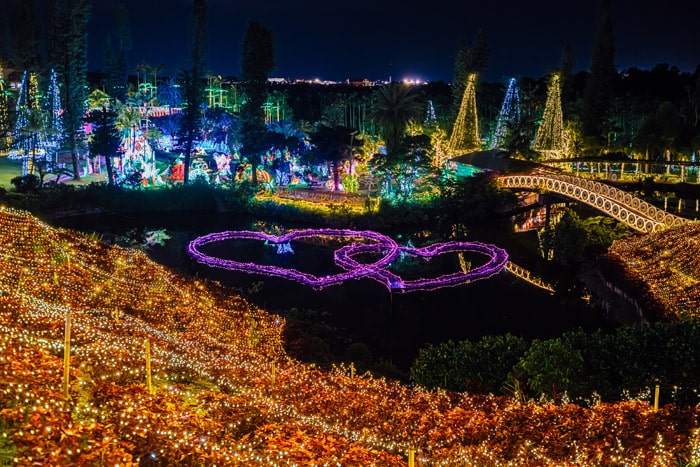 沖縄南国イルミネーション2025-2026