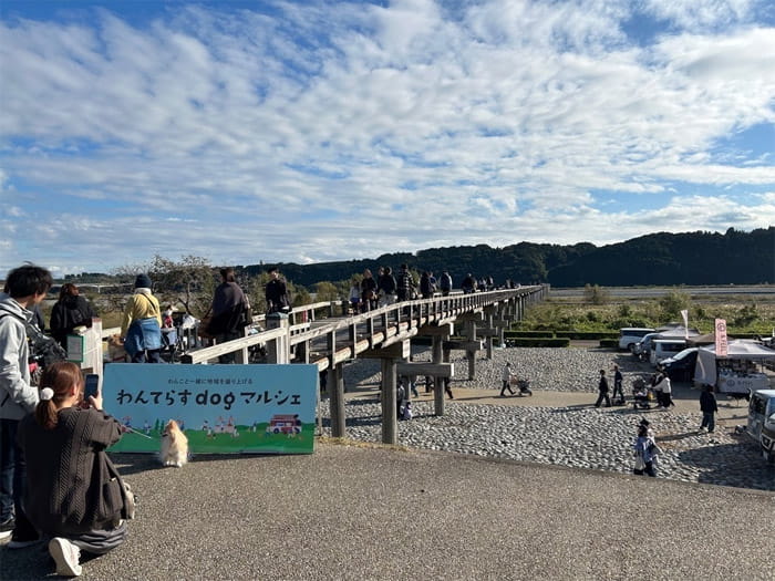 わんてらす dog ＆ foodマルシェ in 島田2026