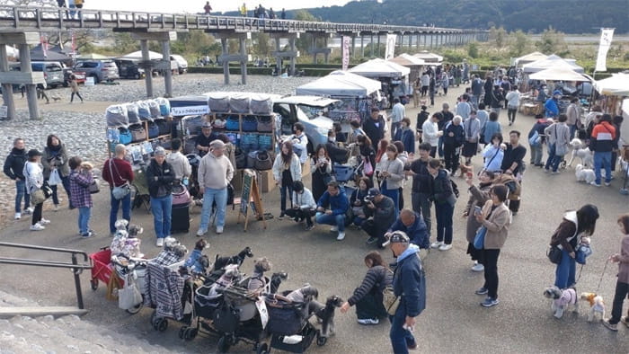 わんてらす dog ＆ foodマルシェ in 島田2026