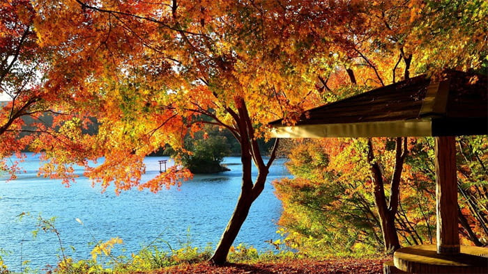 一碧湖の紅葉