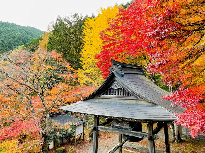 泰運寺