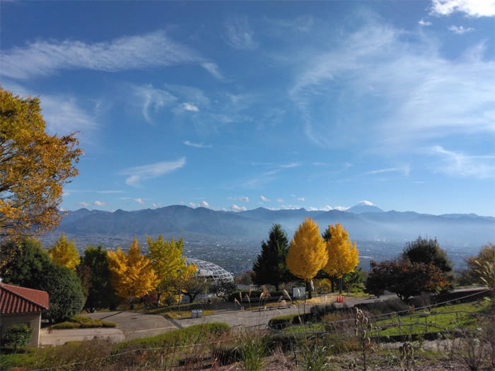 紅葉ワインフェス in 笛吹川フルーツ公園