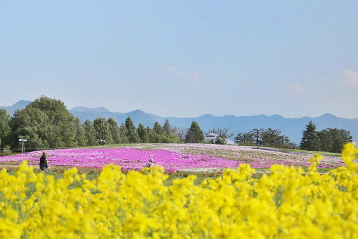 信州スカイパーク