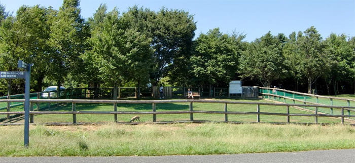 信州スカイパーク