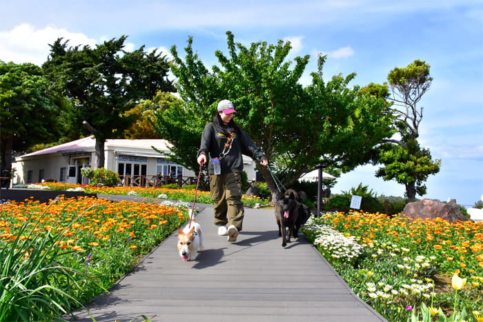 ニューヨークランプミュージアム＆フラワーガーデン