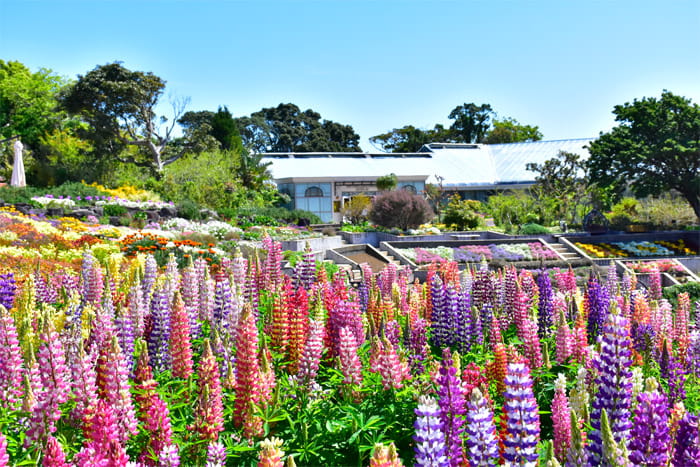 ニューヨークランプミュージアム＆フラワーガーデン