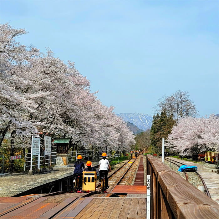 レールマウンテンバイクGattan Go!