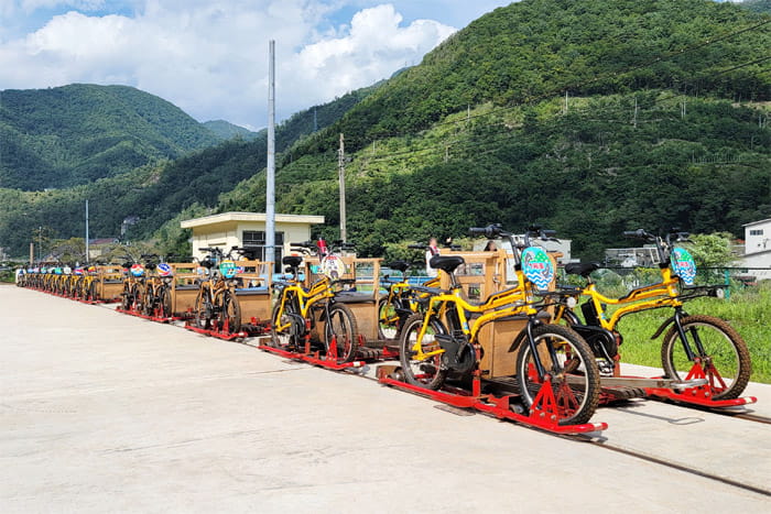 レールマウンテンバイクGattan Go!