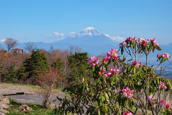 富士見高原リゾート　創造の森