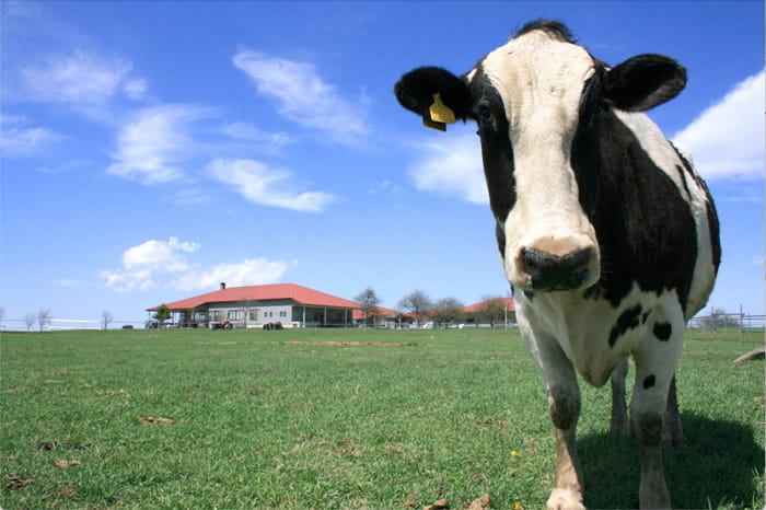 長門牧場　牧場祭