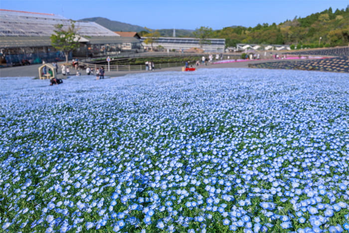 志摩市観光農園